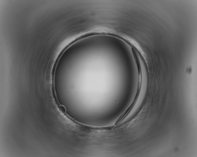 X0000096991335200802151344