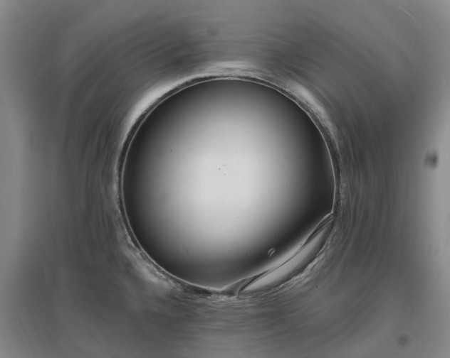 X0000096991336200802151344