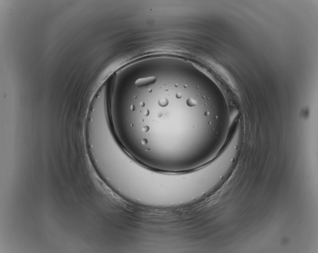 X0000096991338200802151344