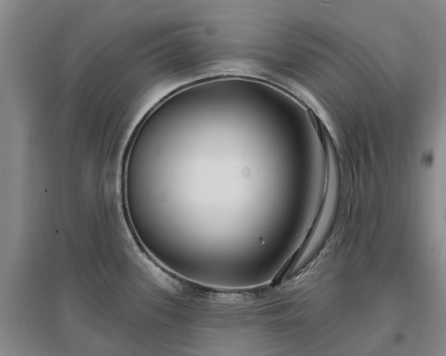 X0000096991339200802151344