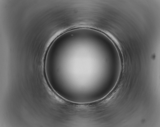 X0000096991341200802151344