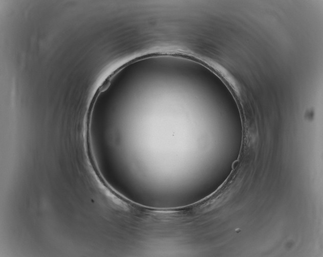 X0000096991343200802151344