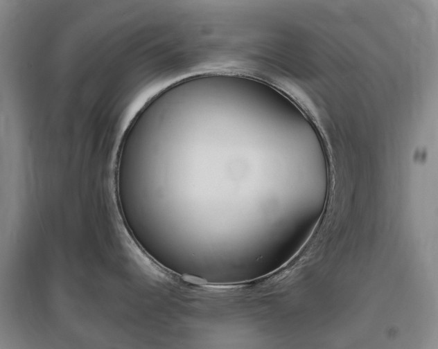 X0000096991344200802151344