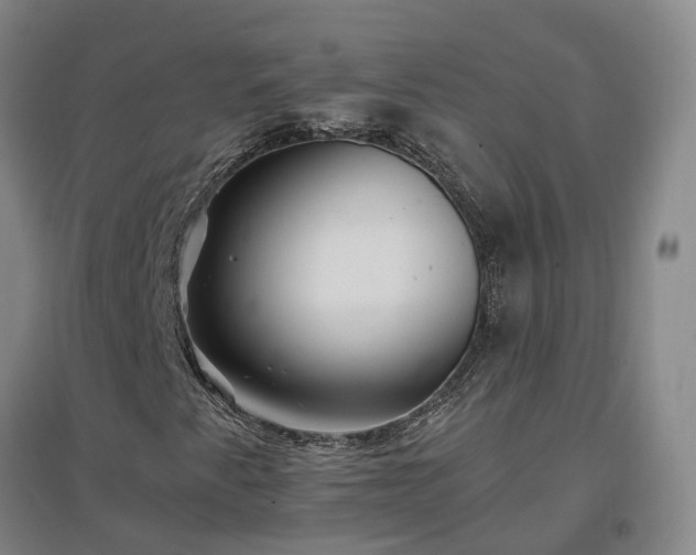 X0000096991345200802151343