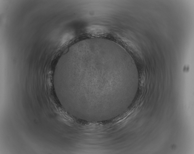 X0000096991346200802151343