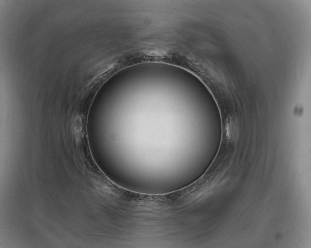 X0000096991347200802151343