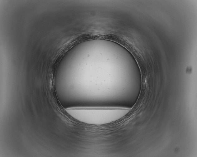 X0000096991348200802151343