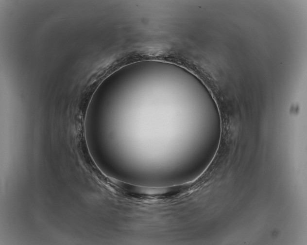 X0000096991349200802151343