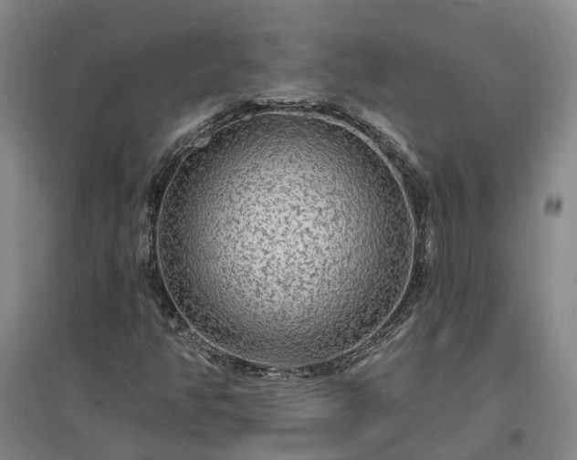 X0000096991350200802151343