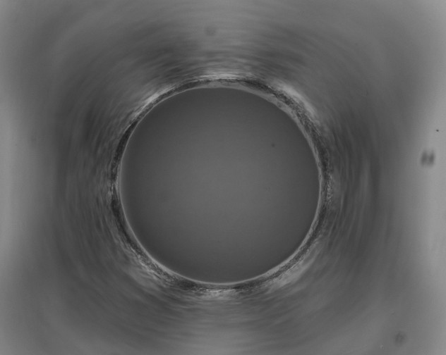 X0000096991353200802151343