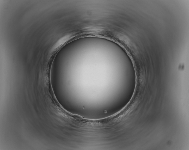 X0000096991354200802151343
