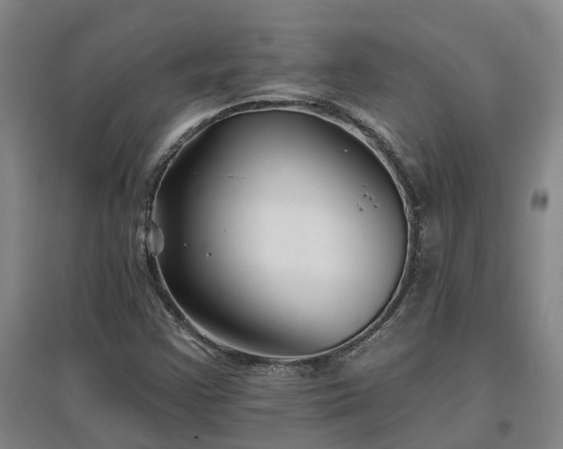 X0000096991355200802151343