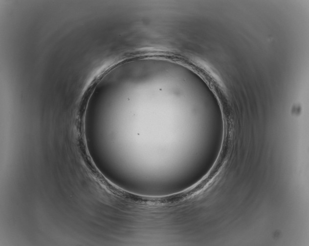 X0000096991357200802151343