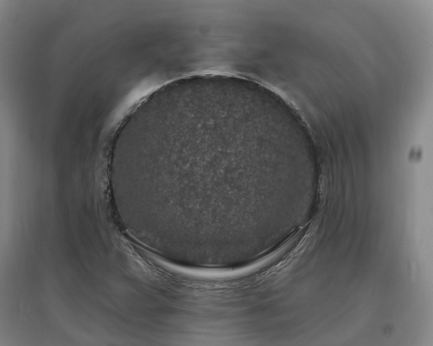 X0000096991359200802151343