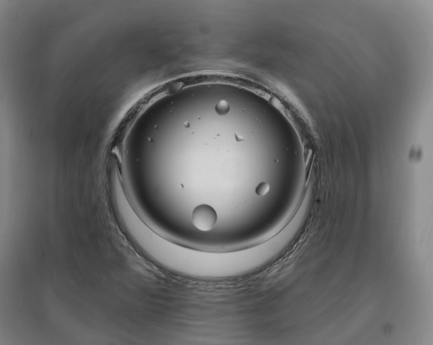 X0000096991360200802151343