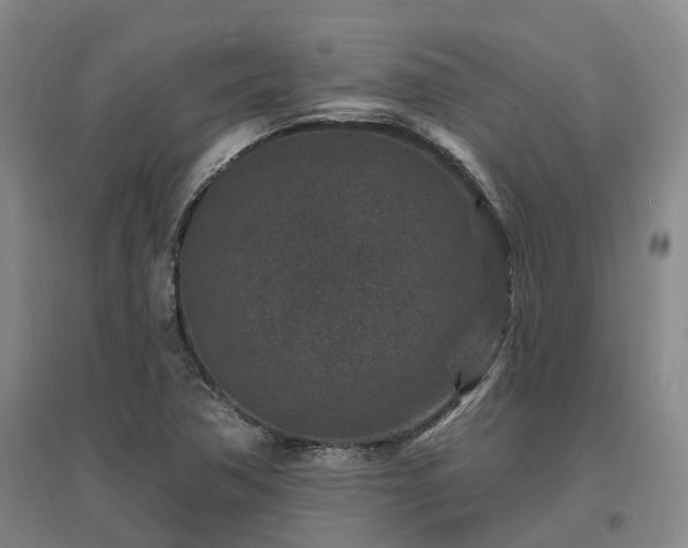 X0000096991362200802151343