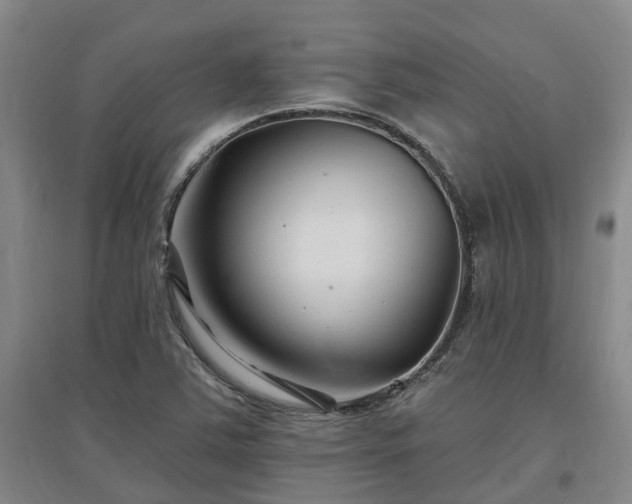 X0000096991363200802151343