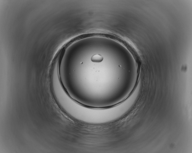 X0000096991364200802151343