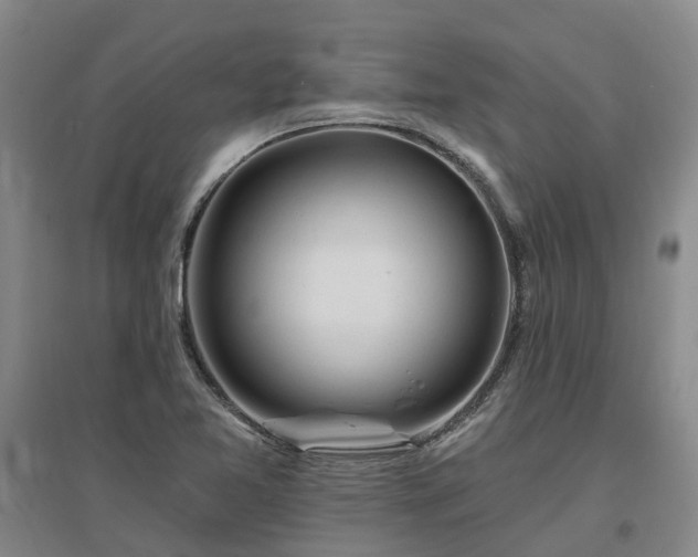 X0000096991365200802151343