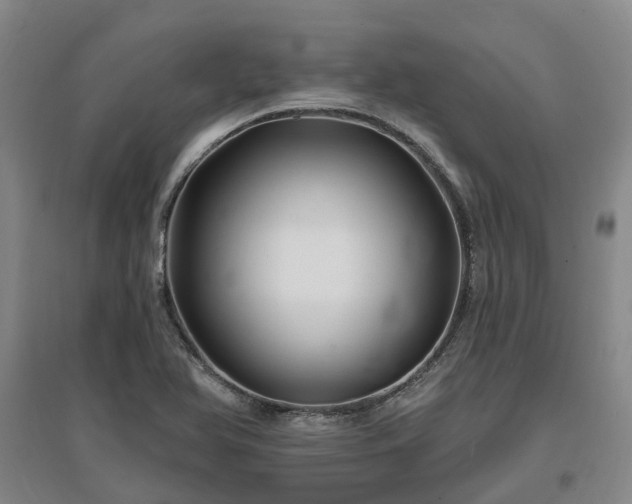 X0000096991366200802151343