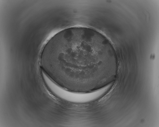 X0000096991367200802151343