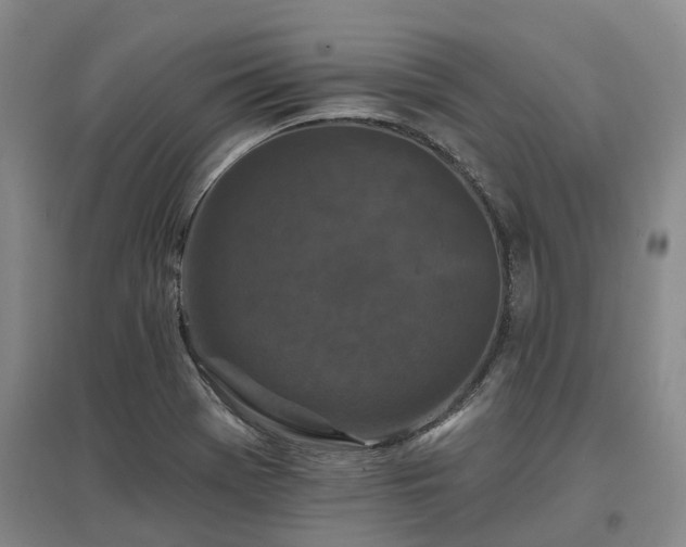 X0000096991369200802151343