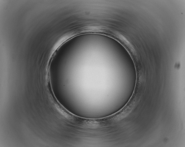 X0000096991370200802151343