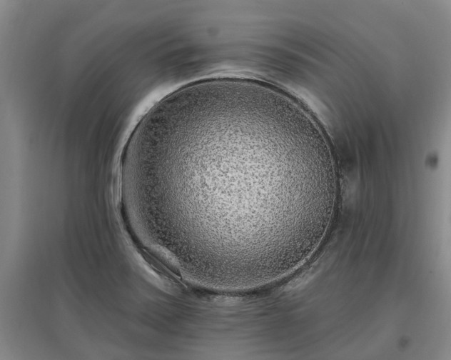 X0000096991371200802151343