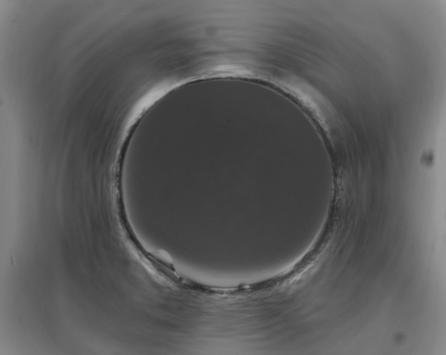 X0000096991373200802151343