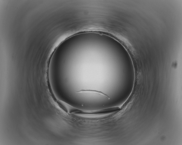 X0000096991374200802151343