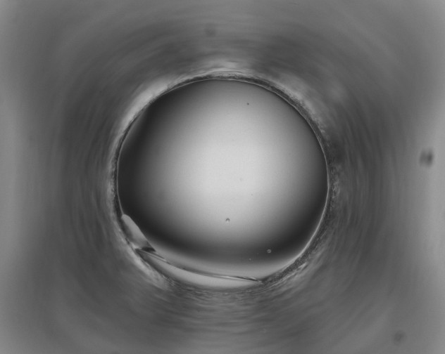 X0000096991375200802151343