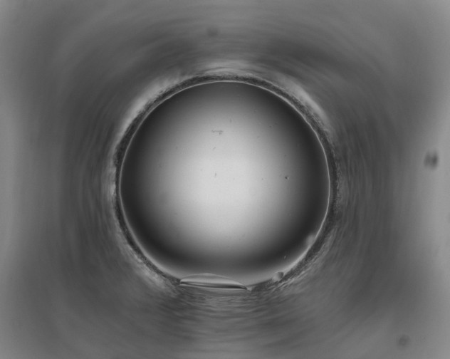 X0000096991376200802151343