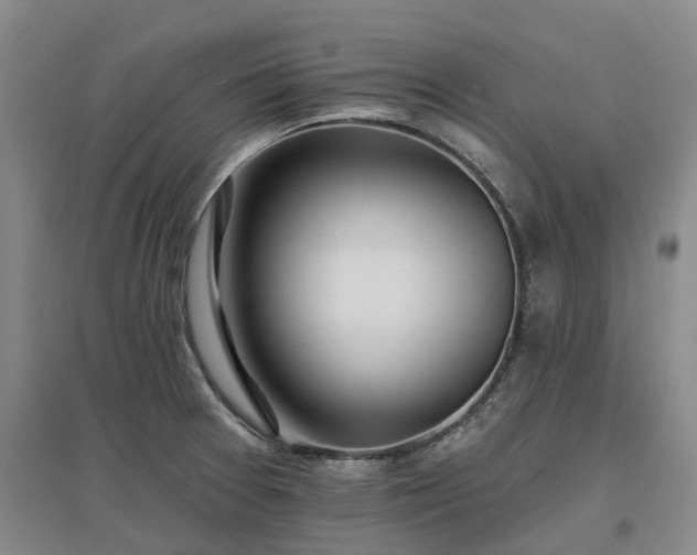X0000096991377200802151343