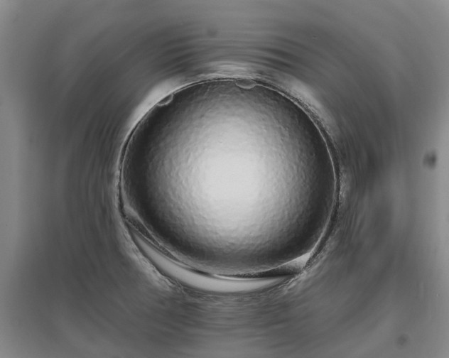 X0000096991378200802151343