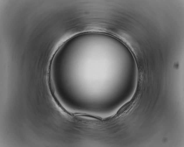 X0000096991379200802151343