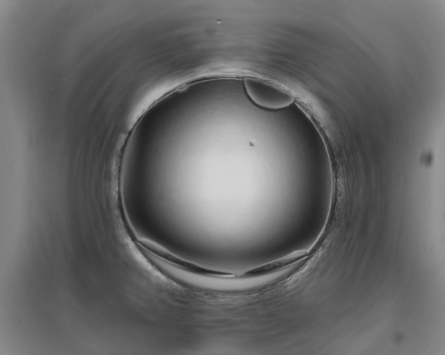 X0000096991382200802151343