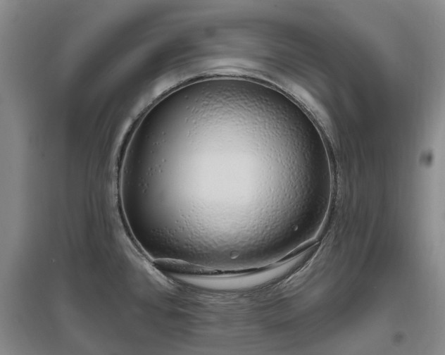 X0000096991384200802151343