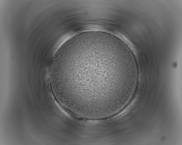 X0000096991385200802151343