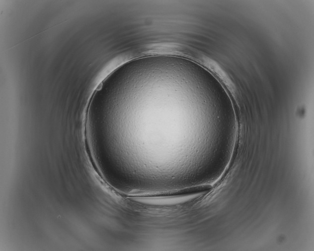 X0000096991386200802151343