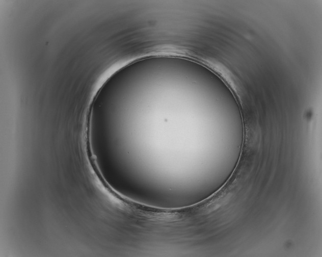 X0000096991387200802151343