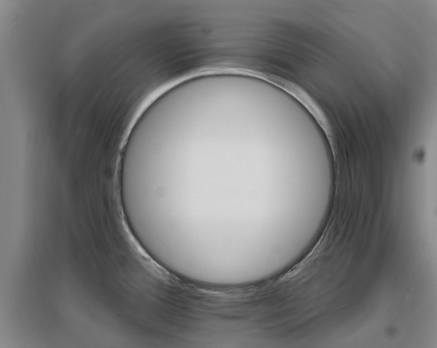 X0000096991388200802151343