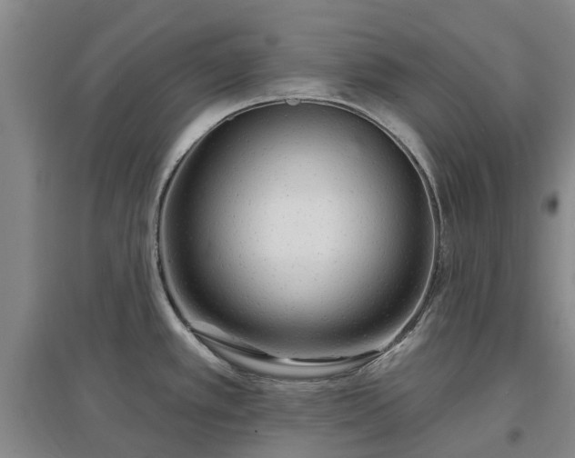 X0000096991389200802151343