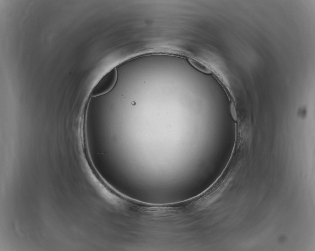 X0000096991391200802151343