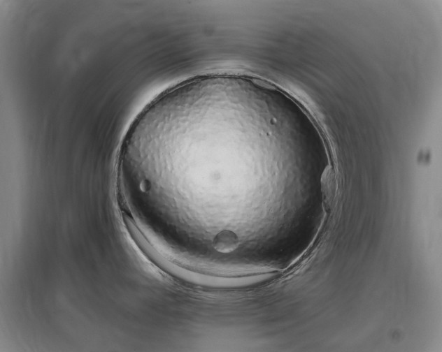 X0000096991392200802151343