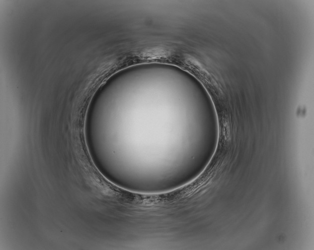 X0000096991393200802151342