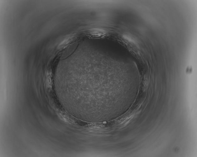 X0000096991394200802151342