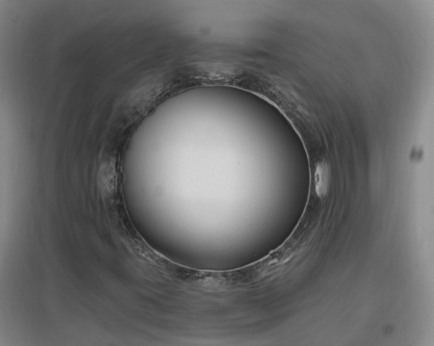 X0000096991395200802151342