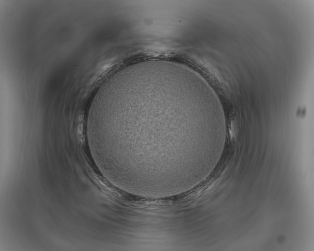 X0000096991396200802151342