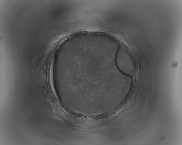 X0000096991398200802151342
