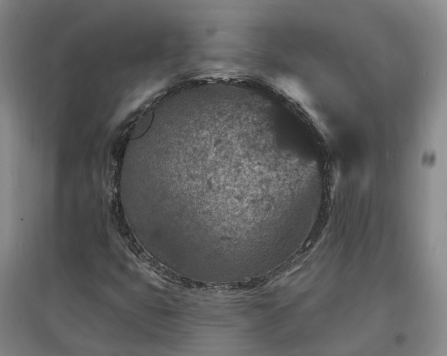 X0000096991399200802151342